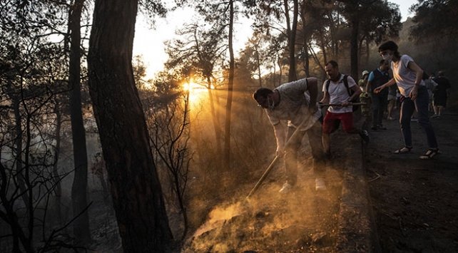 Heybeliada’daki orman yangınıyla ilgili 1 şüpheli tutuklandı