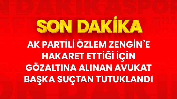 AK Partili Zengin’e hakaret ettiği için gözaltına alınan Avukat Mert Yaşar, ‘Cumhurbaşkanına hakaret’ten tutuklandı