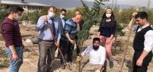 Karslı Sübitay Yüce Hoca çam fidanlarını toprakla buluşturdu